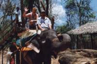 Elefantensafari 2